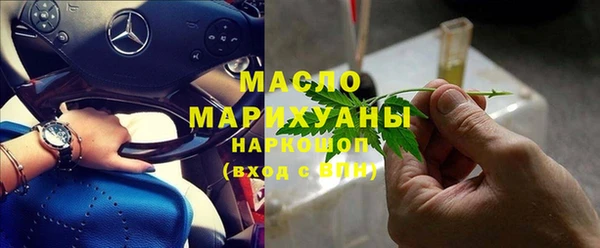 гашик Дмитров