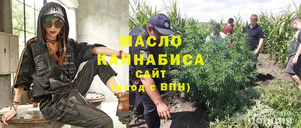 гашик Дмитров