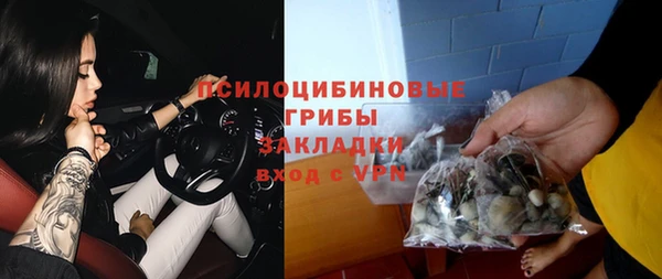прущая мука Дмитриев