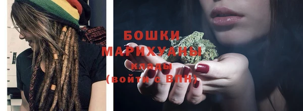 гашик Дмитров