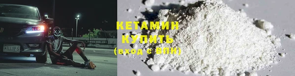гашик Дмитров