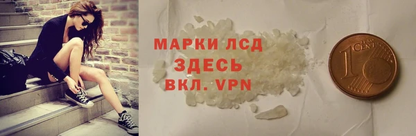 гашик Дмитров
