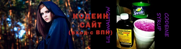 гашик Дмитров