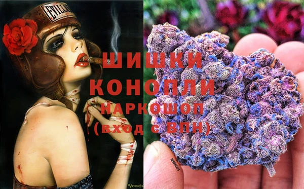 гашик Дмитров