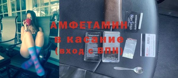 гашик Дмитров