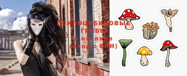 гашик Дмитров