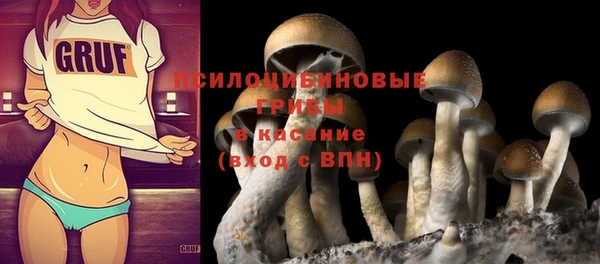прущая мука Дмитриев