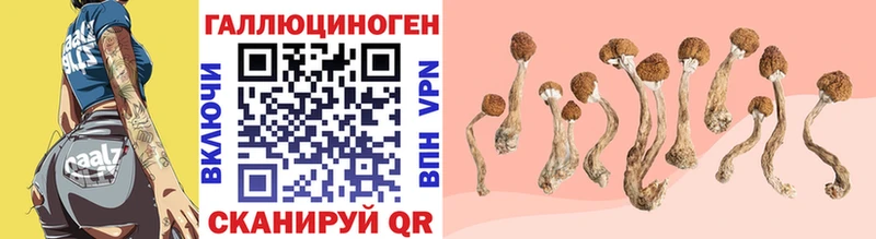что такое наркотик  Заринск  Галлюциногенные грибы Psilocybe 