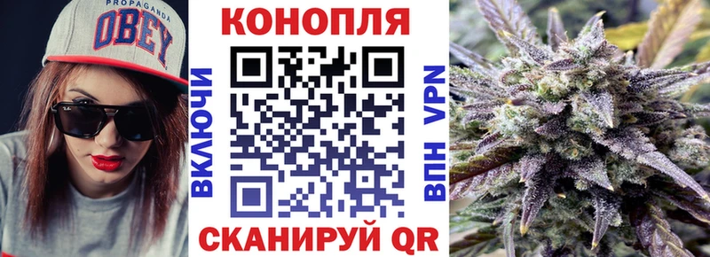 Марихуана сатива цена Заринск